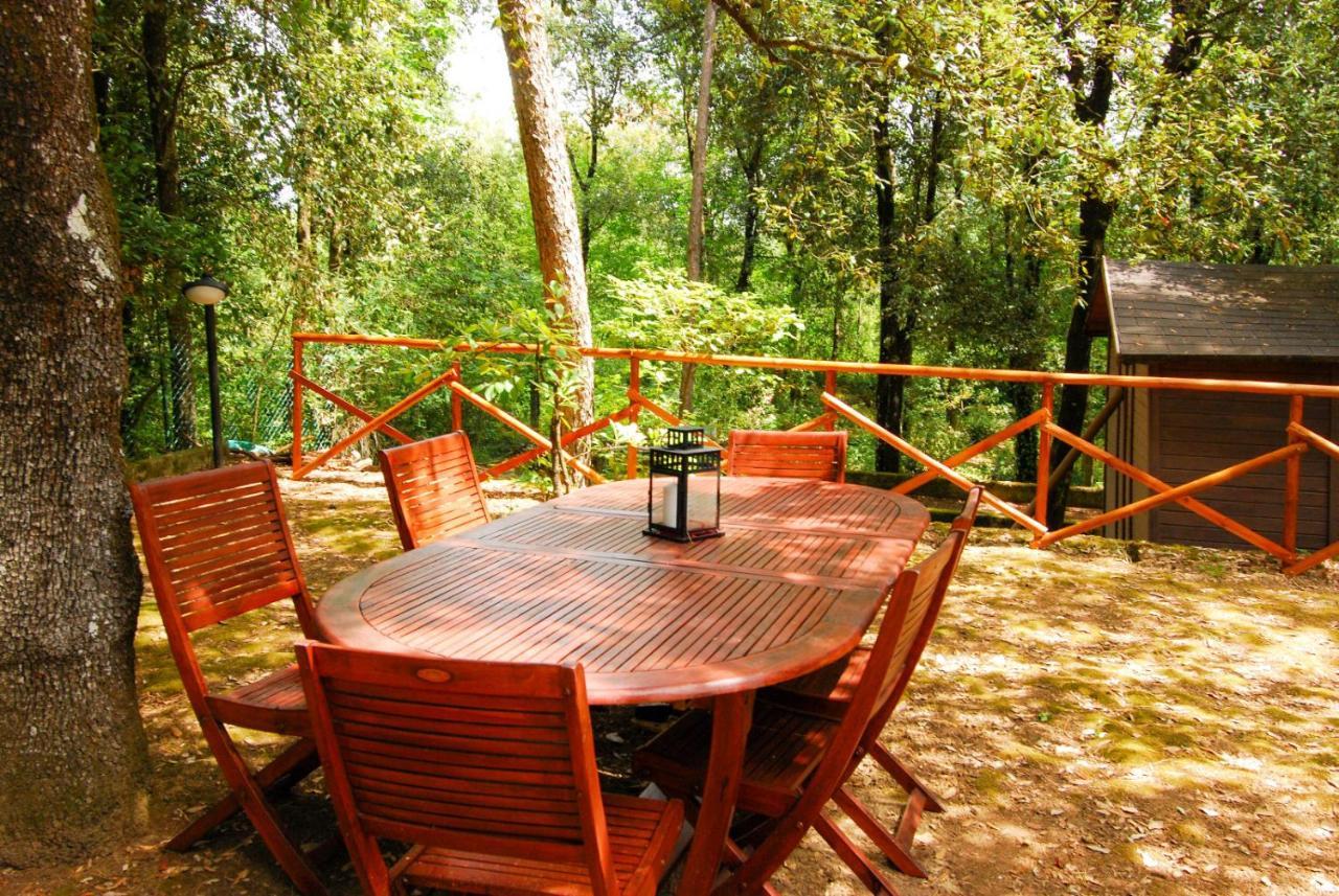 Apartment Monte Malbe Charming With Garden And Parking