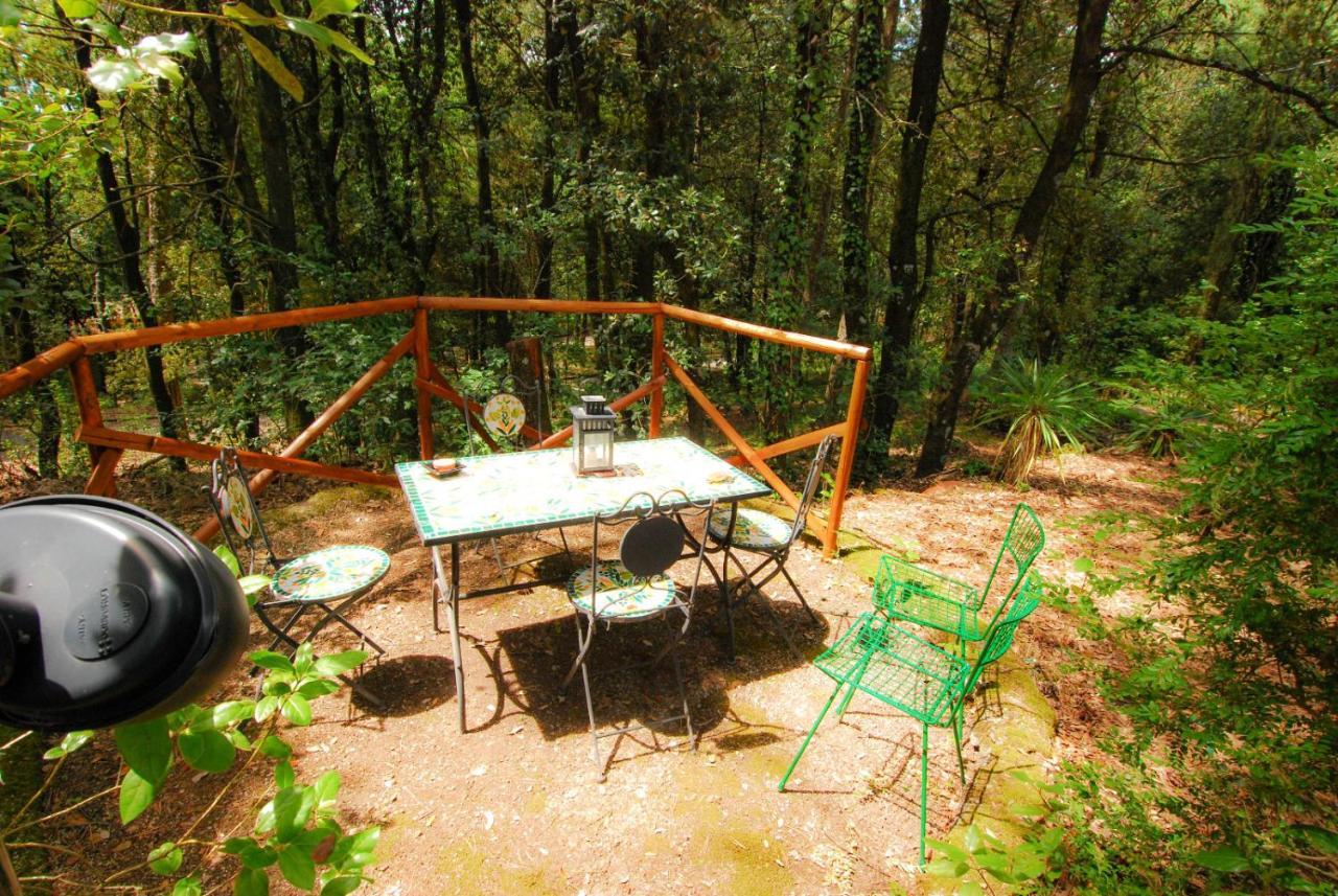 Monte Malbe Charming With Garden And Parking Apartment