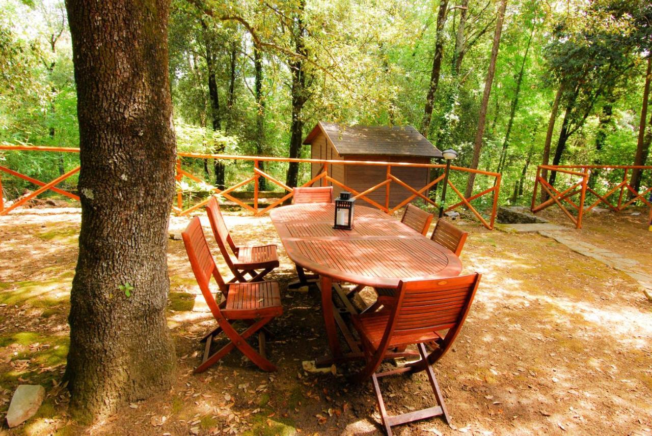 Monte Malbe Charming With Garden And Parking Apartment